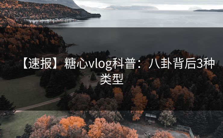 【速报】糖心vlog科普：八卦背后3种类型