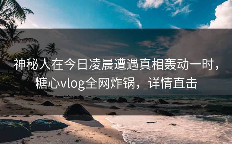 神秘人在今日凌晨遭遇真相轰动一时，糖心vlog全网炸锅，详情直击