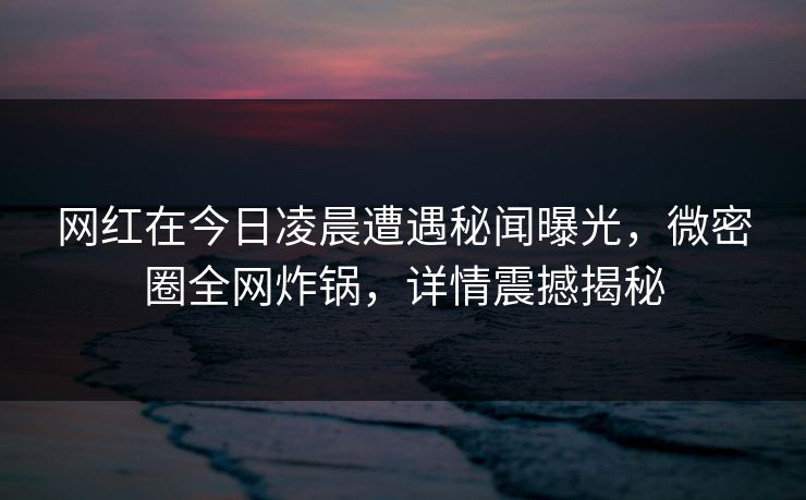 网红在今日凌晨遭遇秘闻曝光，微密圈全网炸锅，详情震撼揭秘